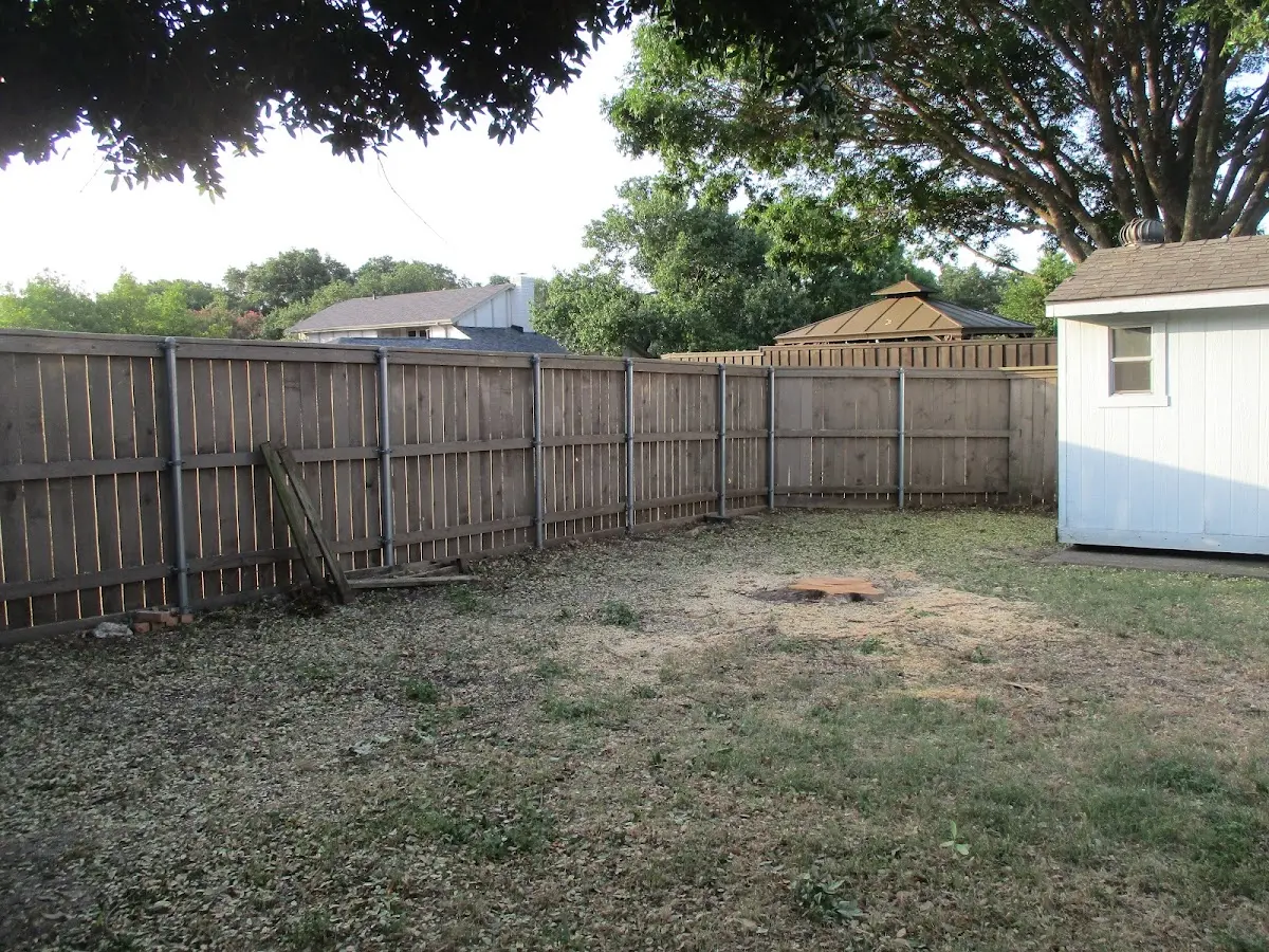 Cleared yard after professional tree removal in West Yarmouth